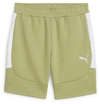 Puma Herren Short TeamEvostripe (659951) calming green/puma silver/puma white