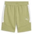 Puma Herren Short TeamEvostripe (659951)