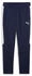 teamEvostripe Training Pants navy/puma silver/puma white