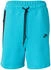 Nike Sportswear Tech Fleece Men's Shorts (FB8171)