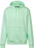 Nike Jordan Sport Crossover Dri-FIT-Hoodie Herren (FV8606-376) grün