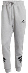 Adidas Sportswear Regular Fit Sweatpants mittelgrau