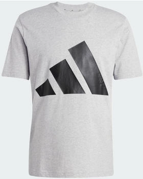 Adidas Essentials Big Logo T-Shirt (JE) medium grey heather/black (JE8948)