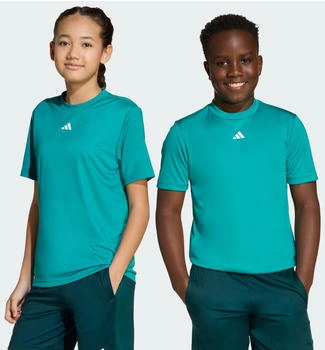 Adidas Train Essentials Logo Regular Fit Kids T-Shirt Pure Teal / White (JW4991)