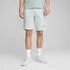 Puma Essentials Color No Logo French Terry Sweatshorts (684715)