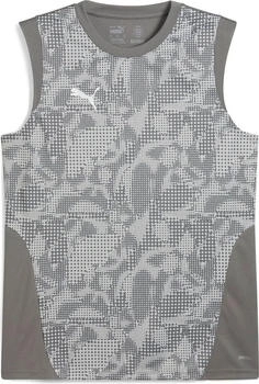 Puma teamCUP Trainingstrikot grau silber