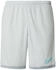 Sportshorts 'ACD25' hellblau hellgrau schwarz