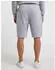 Joy 106 Shorts (49106) frost grey
