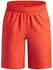 Under Armour UA Woven Wdmk Shorts (1383341)