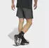 Adidas WE BAS 3SPQ Shorts (47068509) grey five/schwarz