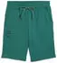 Puma PUMA x Aston Martin Aramco F1 Team Essentials Shorts Regular Fit (635397-04) green lux