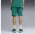 Puma PUMA x Aston Martin Aramco F1 Team Essentials Shorts Regular Fit (635397-04) green lux