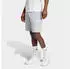 Adidas Future Icons Small Logo Shorts (79145368) halo silver