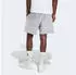Adidas Future Icons Small Logo Shorts (79145368) halo silver