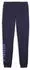 Puma ESS Logo Lab Metallic Sweatpants Regular Fit (691831) deep plum