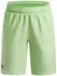Under Armour UA Woven Wdmk Shorts (1383341)