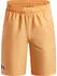 Under Armour UA Woven Wdmk Shorts (1383341)