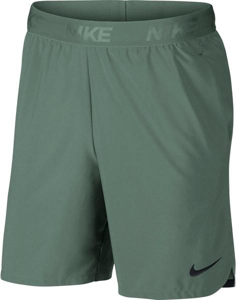 Nike Flex Vent Max 2.0 Shorts Men (886371) green