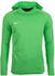 Nike Academy 18 Hoodie (AH9608-361) green/spark/white