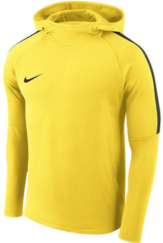 Nike Academy 18 Hoodie (AH9608-719) yellow