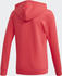 Adidas Linear Hooded Jacket Kids core pink (FM6977)
