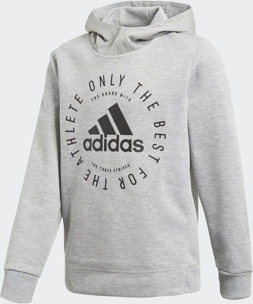 Adidas Sport ID Hoodie Kids medium grey heather/black (DV1701)