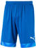Puma Short Cup Shorts (704034) blue