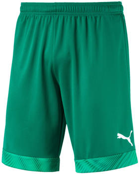 Puma Short Cup Shorts (704034) pepper green