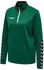 evergreen (204929-6140)