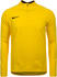 Nike Academy 18 Drill Top Longsleeve (893624)