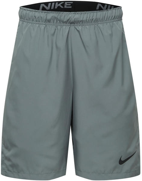 Nike Nike Flex Shorts (CU4945) smoke grey/black