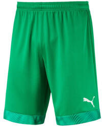 Puma Short Cup Shorts (704034) green/prism violet