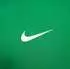Nike Park 20 Fleece Hoodie (CW6894) pine green/white/white