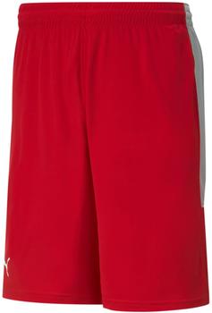 Puma Sports Pants (5458298) red/white