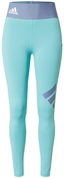 Adidas Techfit Logo lange Tight mint ton