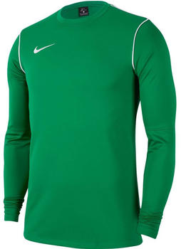 Nike Shirt (BV6875) pine green