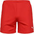 Puma Damen Short teamGOAL 23 Knit Shorts W 704379-01 Red