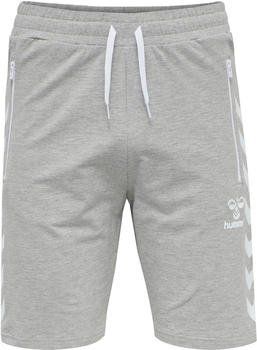 Hummel Shorts RAY 2.0 SHORTS grey melange