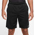 Nike Dri-FIT Fitness Short (DV9328) black/black/iron grey/white
