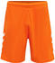 orange tiger