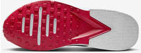Nike Air Zoom TR 1 pure platinum/football grey/university red