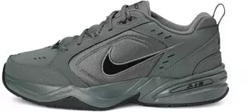 Nike Air Monarch IV grau