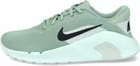 Nike HV9981, NIKE Damen Workoutschuhe W FLEX TRAIN Grau female