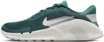 Nike Flex Trainer (HV9972) barely green/mtlc platinum/red wine/wei&szlig;