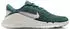 Nike Flex Trainer (HV9972) barely green/mtlc platinum/red wine/weiß