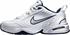 white/metallic silver