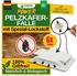 Green Guardia Pelzkäfer Falle mit Spezial-Lockstoff & starker Klebefläche, chemiefrei