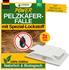 Green Guardia Pelzkäfer Falle mit Spezial-Lockstoff & starker Klebefläche, chemiefrei