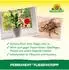 Neudorff Permanent FliegenStopp Motiv Klebefalle 1378 1 Packung = 4 Stück
