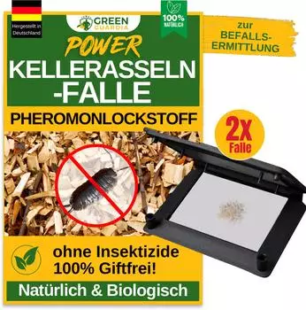 Green Guardia Kellerasseln Falle mit Pheromon Lockstoff